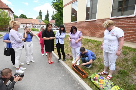 Egy apró mag is csodává nőhet - virágokat ültettek el a kórház újszülött osztályának ablaka alatt